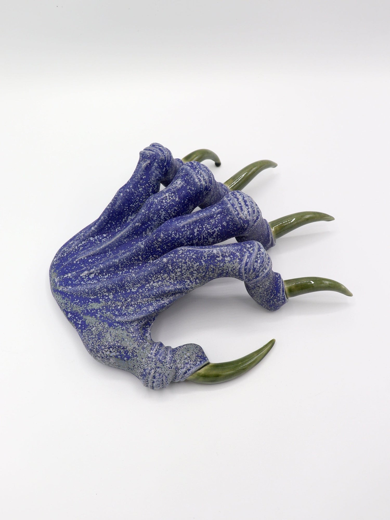 Blue Paw Display-Naomi Gilon-APOC STORE