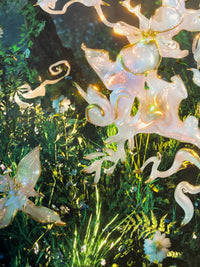 guardian-Ida Lissner-APOC STORE