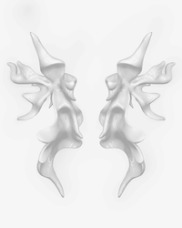 White Sculptural Flower Earrings-WHYNOEN-APOC STORE