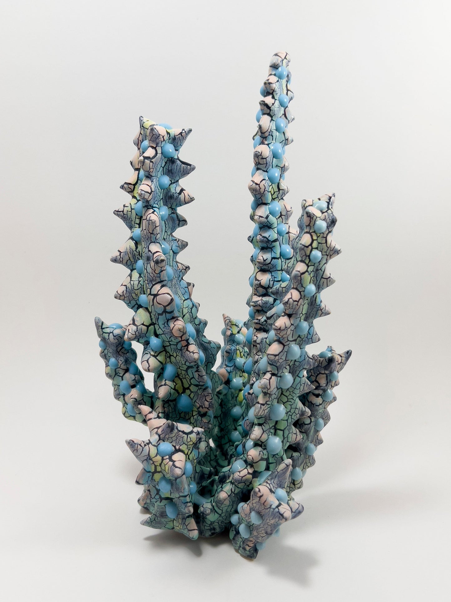 Euphorbia-Kaley Flowers-APOC STORE