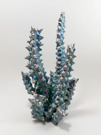 Euphorbia-Kaley Flowers-APOC STORE