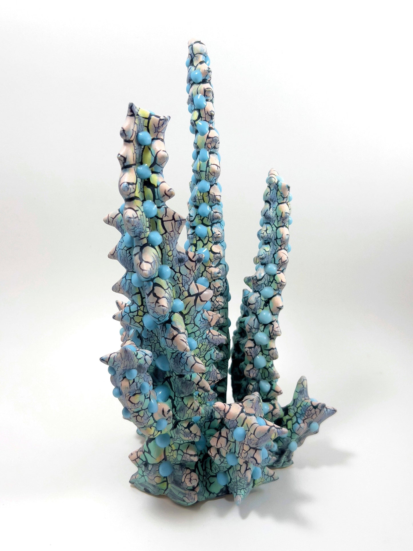 Euphorbia-Kaley Flowers-APOC STORE