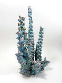 Euphorbia-Kaley Flowers-APOC STORE