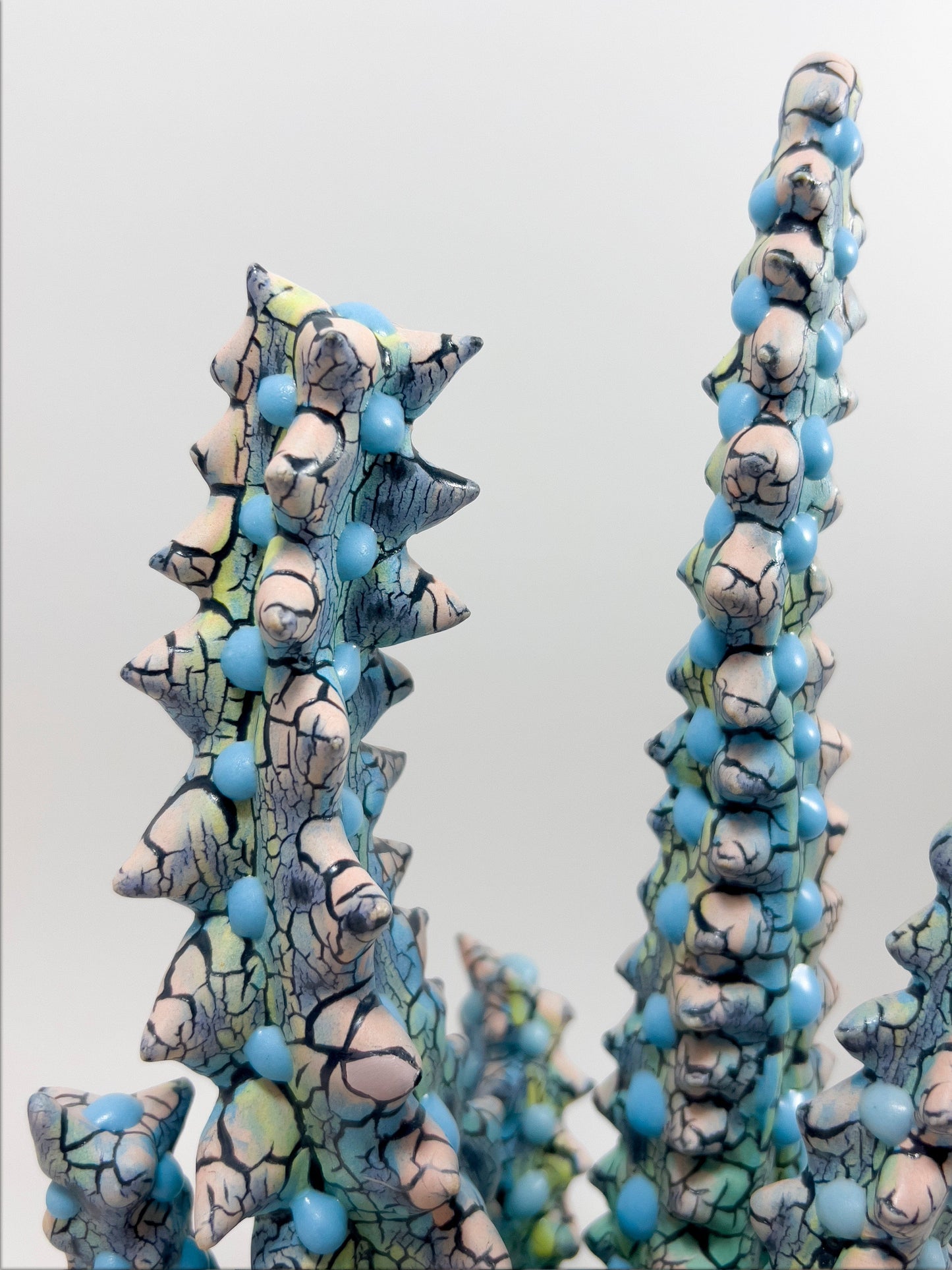 Euphorbia-Kaley Flowers-APOC STORE