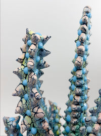 Euphorbia-Kaley Flowers-APOC STORE