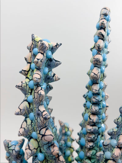 Euphorbia-Kaley Flowers-APOC STORE