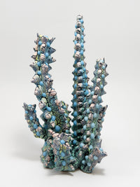Euphorbia-Kaley Flowers-APOC STORE