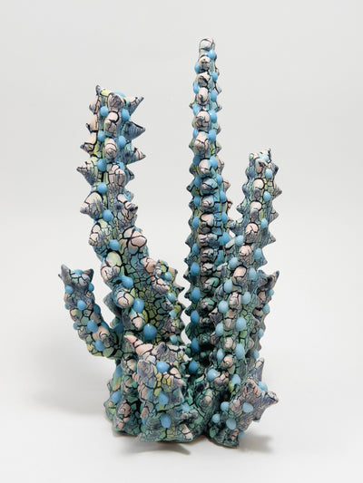 Euphorbia-Kaley Flowers-APOC STORE