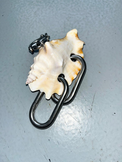 The Carrier Shell 1-Corrina Goutos-APOC STORE