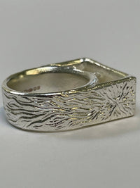 Birds and a comet ring-WILLA / HILFREICH-APOC STORE