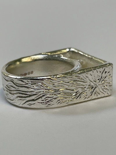 Birds and a comet ring-WILLA / HILFREICH-APOC STORE