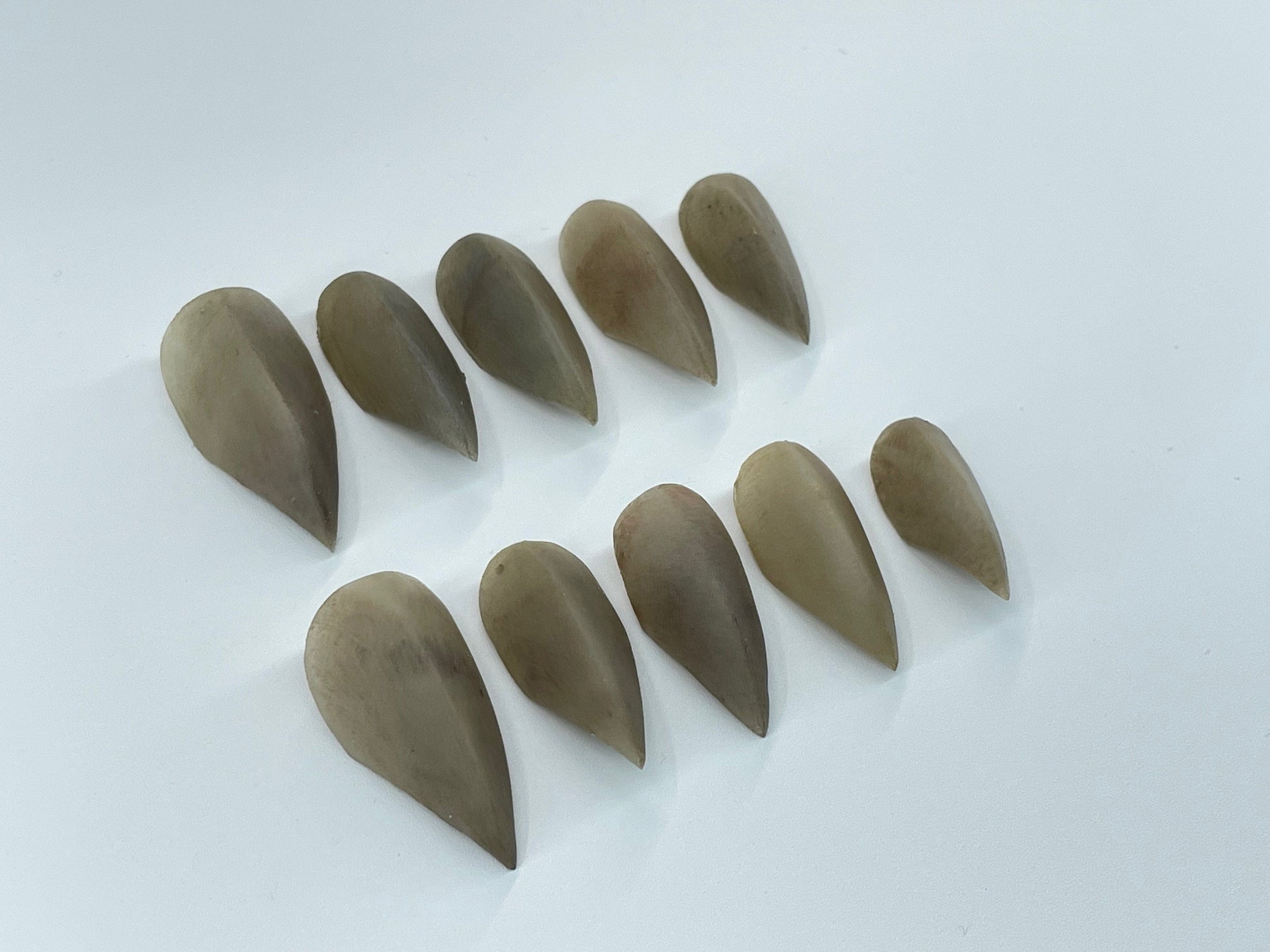 „CLAWS“-Raw Nails-APOC STORE