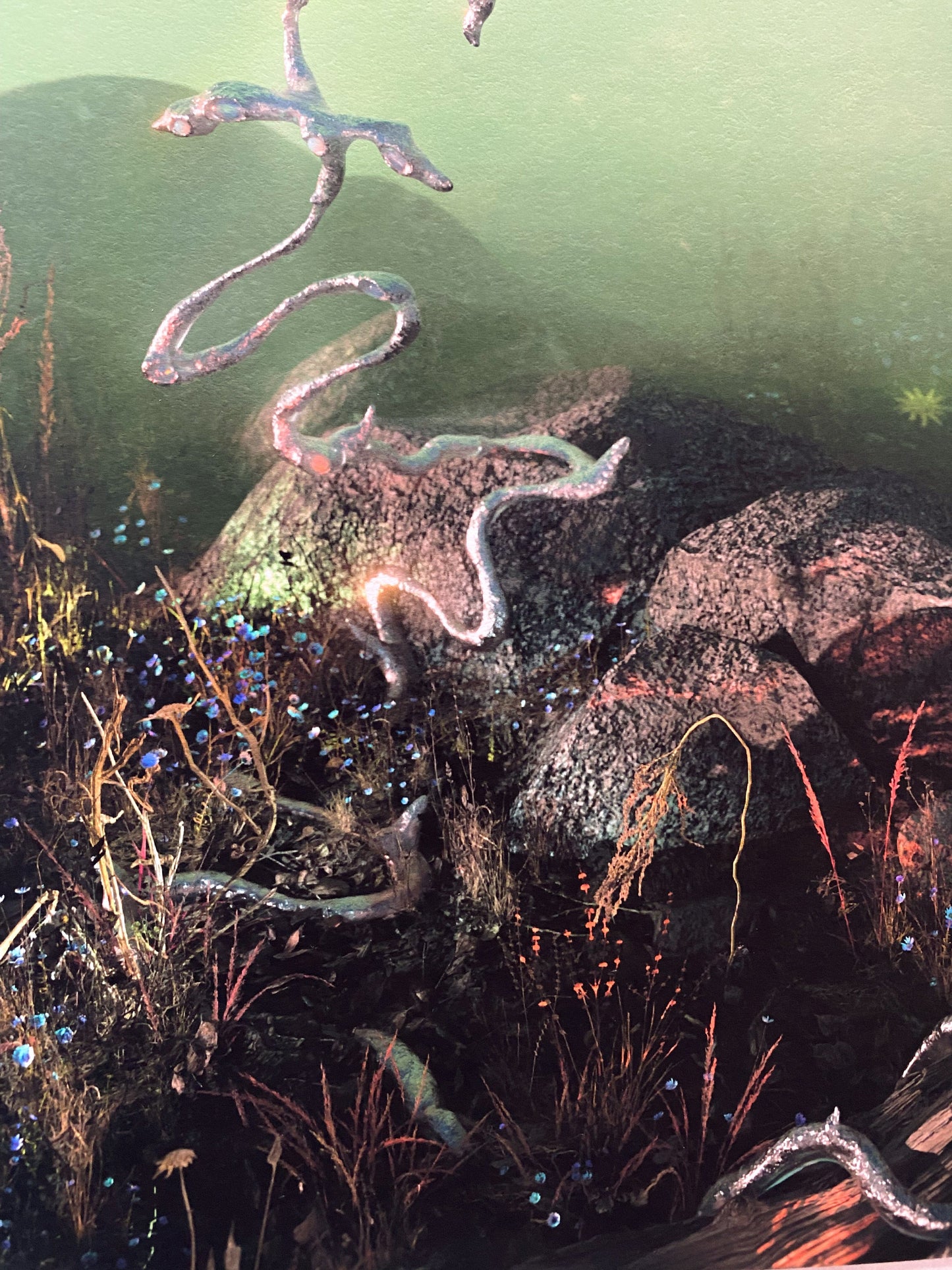 Terrain-Ida Lissner-APOC STORE