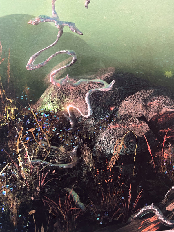 Terrain-Ida Lissner-APOC STORE