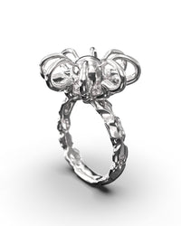 Acacia Blossom-Agoston Balazs-APOC STORE