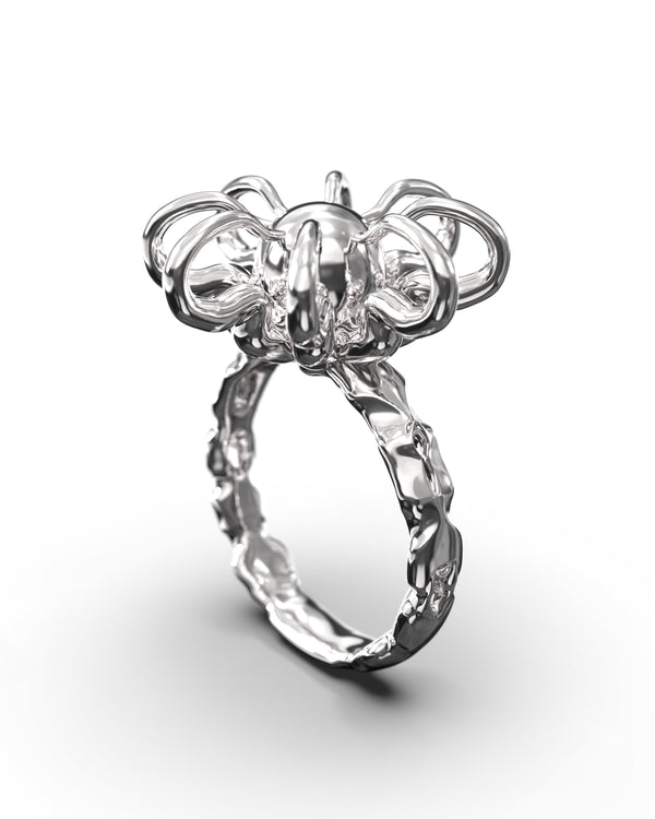 Acacia Blossom-Agoston Balazs-APOC STORE