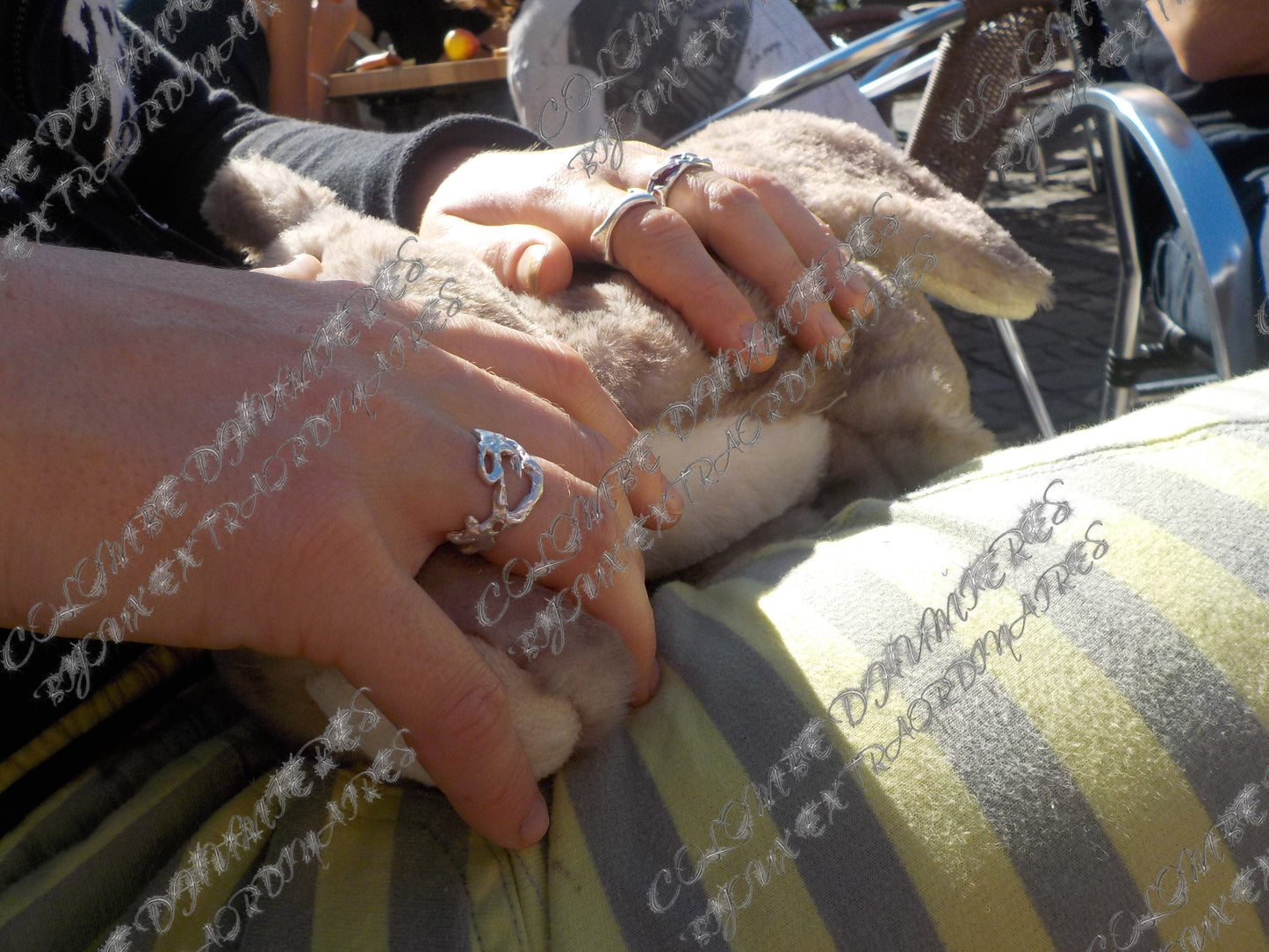 SCAR RING-Colombe d’Humieres-APOC STORE