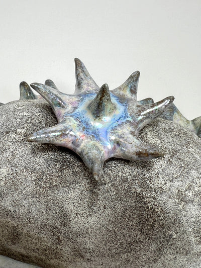 Stonebloom Butter Dish-Kaley Flowers-APOC STORE