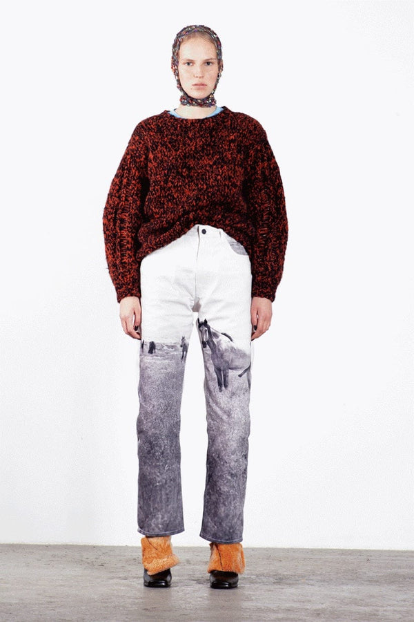 Printed Horse Jeans-Anton Belinskiy-APOC STORE