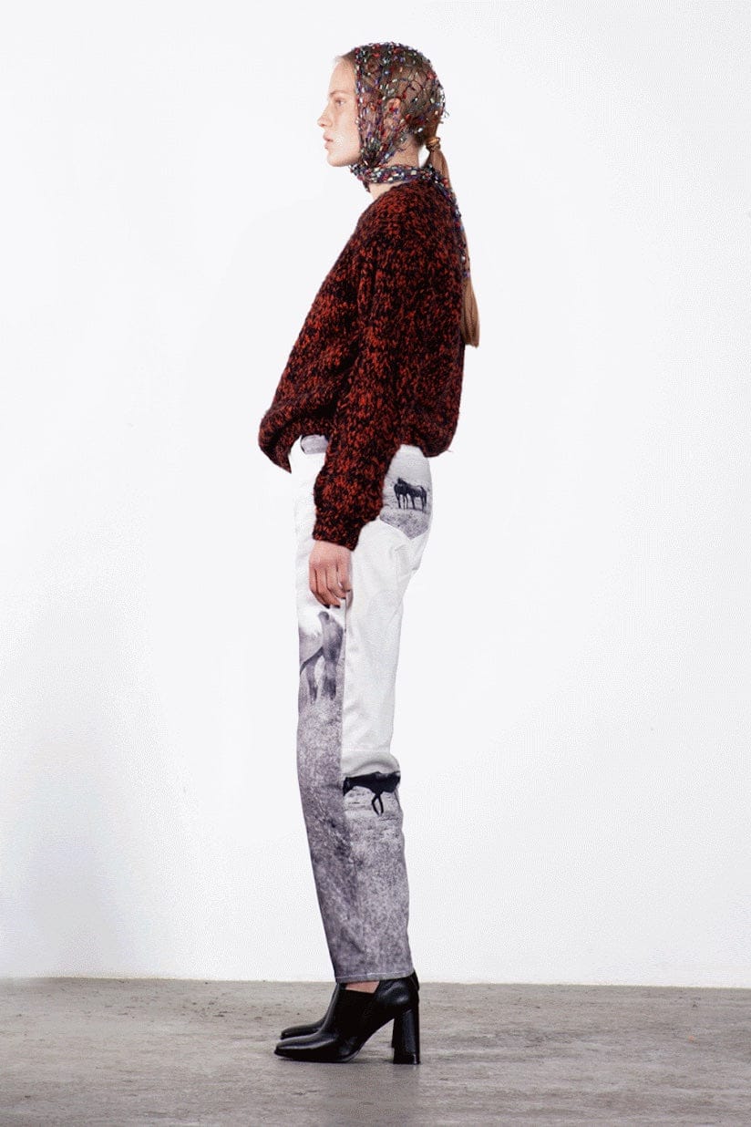 Printed Horse Jeans-Anton Belinskiy-APOC STORE