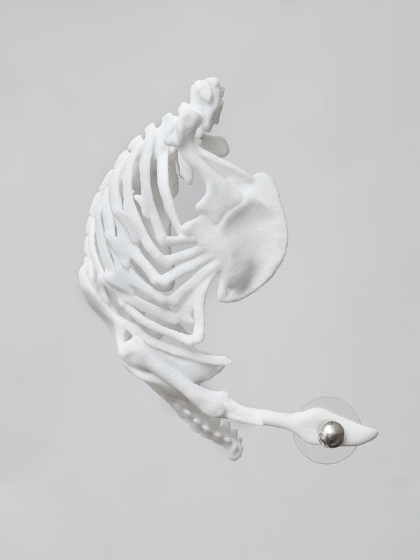 Paleo Ear Cuffs-Baggira-APOC STORE