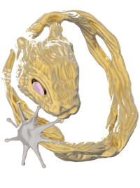 Gold Lucky Rabbit Ring with Stars-Ancient Future-APOC STORE