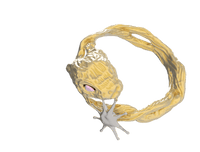 Gold Lucky Rabbit Ring with Stars-Ancient Future-APOC STORE