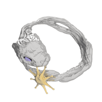 Silver Lucky Rabbit Ring with Stars-Ancient Future-APOC STORE