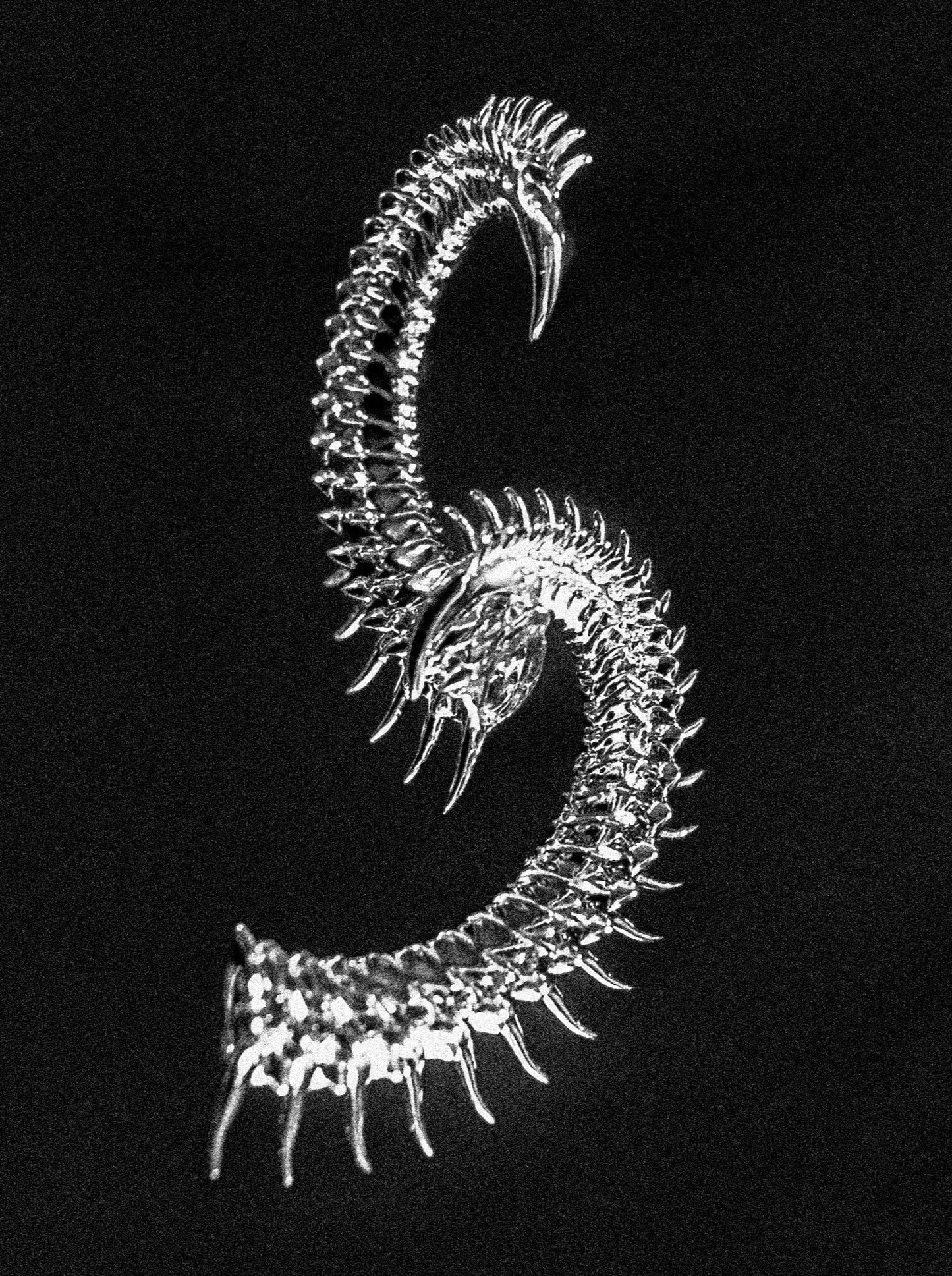 Chrome Spine Ear Columns-Agoston Balazs-APOC STORE