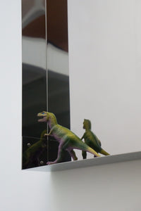 Sham Mirror Bigger-Forever Studio-APOC STORE