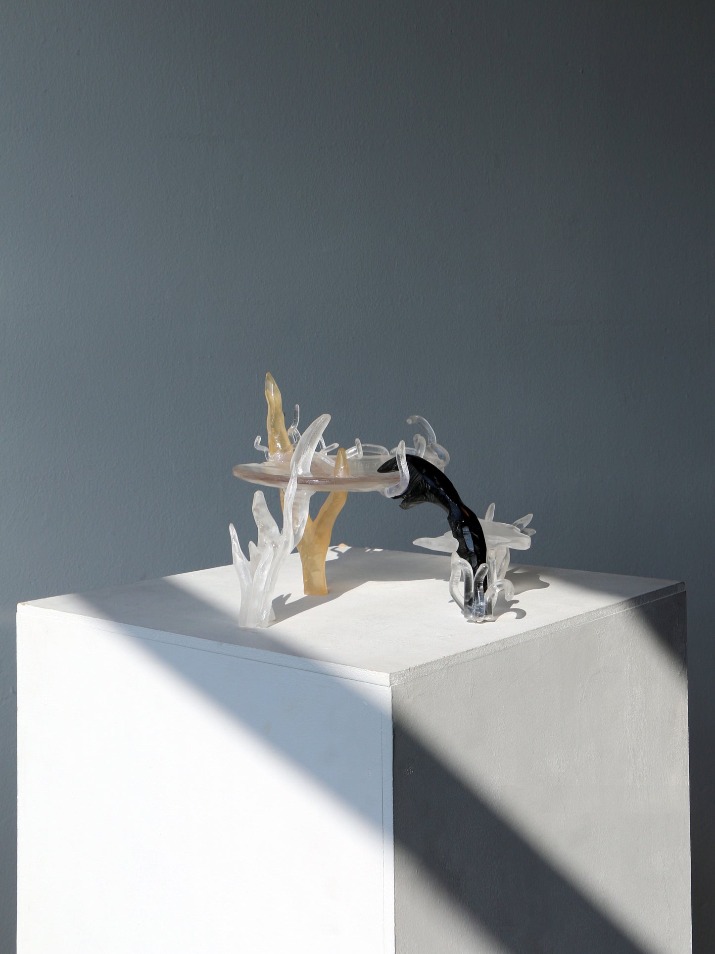 Compound Fantasy-Teresa Fernández-Pello-APOC STORE