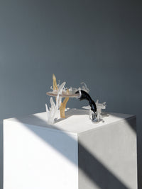 Compound Fantasy-Teresa Fernández-Pello-APOC STORE