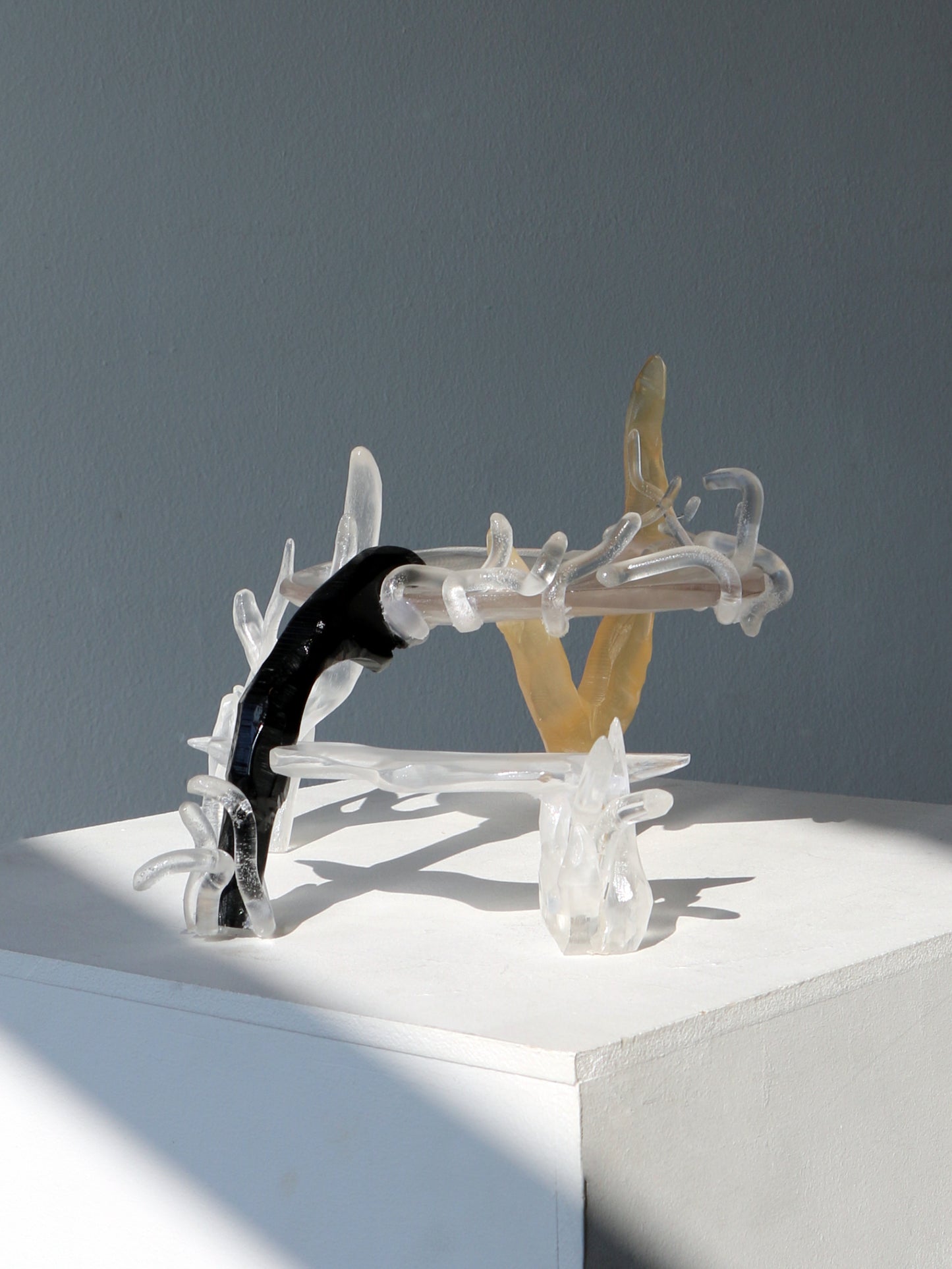 Compound Fantasy-Teresa Fernández-Pello-APOC STORE