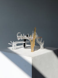 Compound Fantasy-Teresa Fernández-Pello-APOC STORE