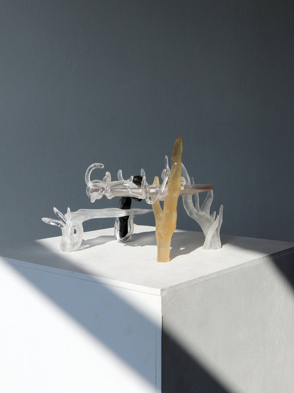 Compound Fantasy-Teresa Fernández-Pello-APOC STORE