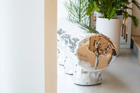 Crest and Trough Bench-Dongwook Choi-APOC STORE