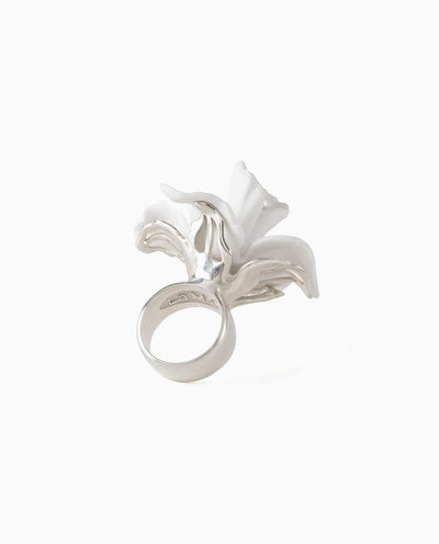 Bodas de Papel-La Manso-APOC STORE