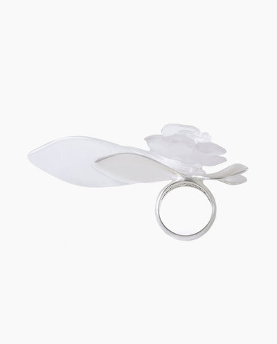 Bodas de cristal-La Manso-APOC STORE