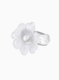 Bodas de Plata-La Manso-APOC STORE