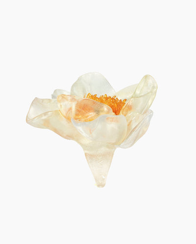 Tempus Orus-La Manso-APOC STORE