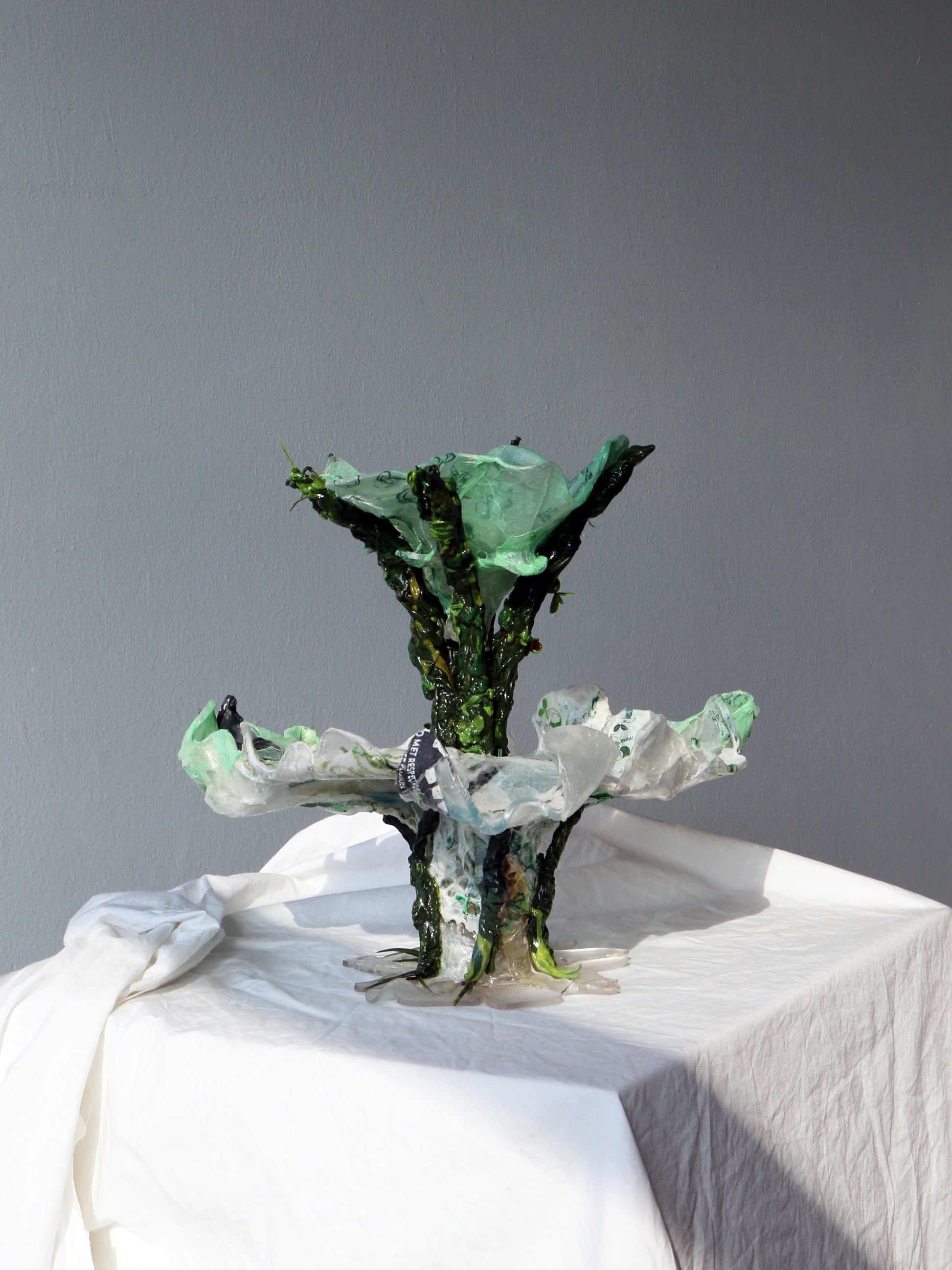 Nouveau Fresh-Teresa Fernández-Pello-APOC STORE