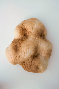 Ochre Mammatus Wall Sculpture-Elissa Lacoste-APOC STORE