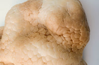 Ochre Mammatus Wall Sculpture-Elissa Lacoste-APOC STORE