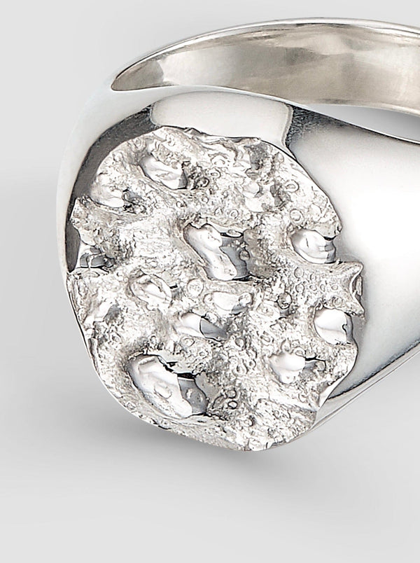 Pickled Moon Signet Ring-OCTI-APOC STORE