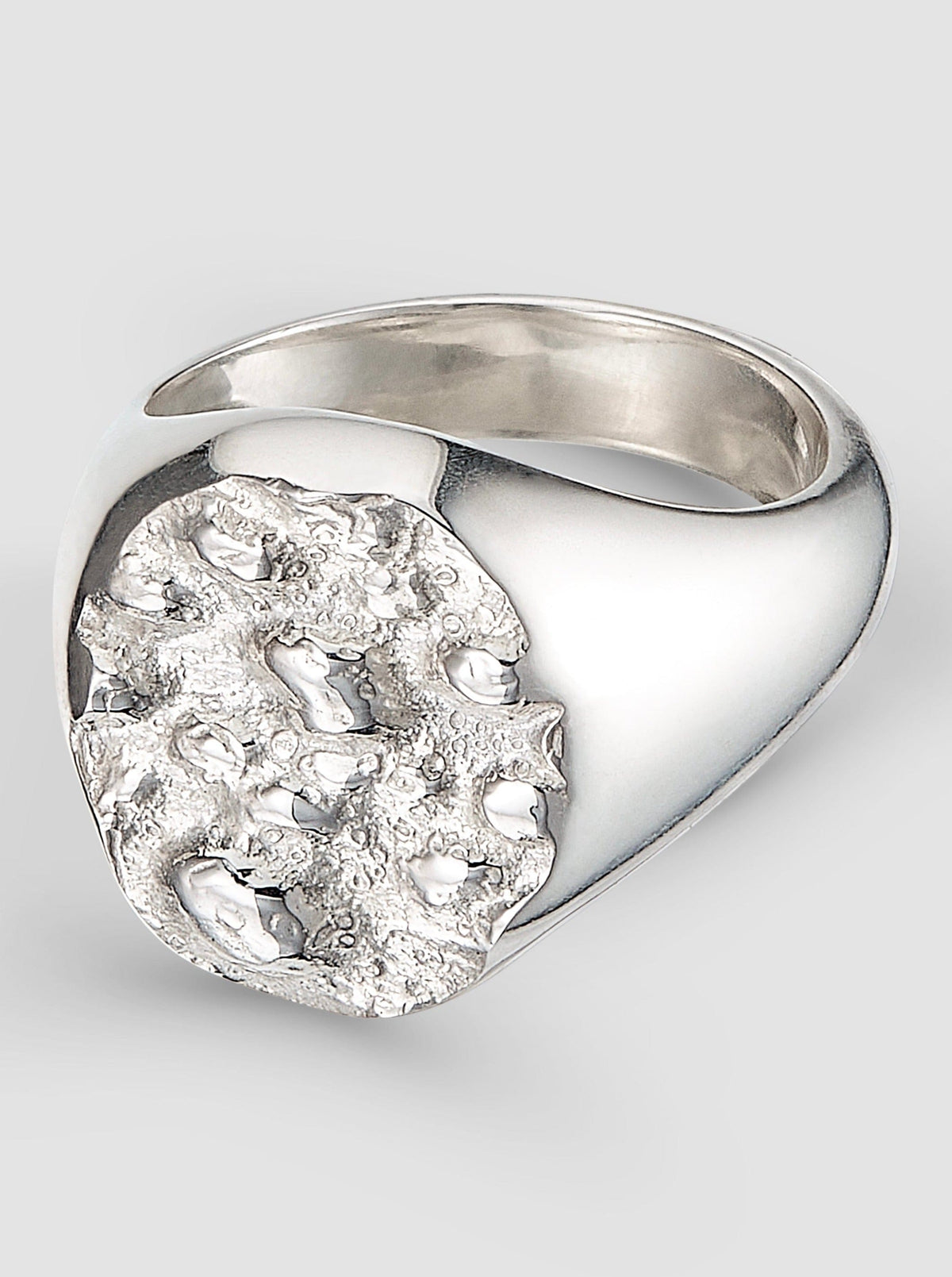 Pickled Moon Signet Ring – APOC STORE