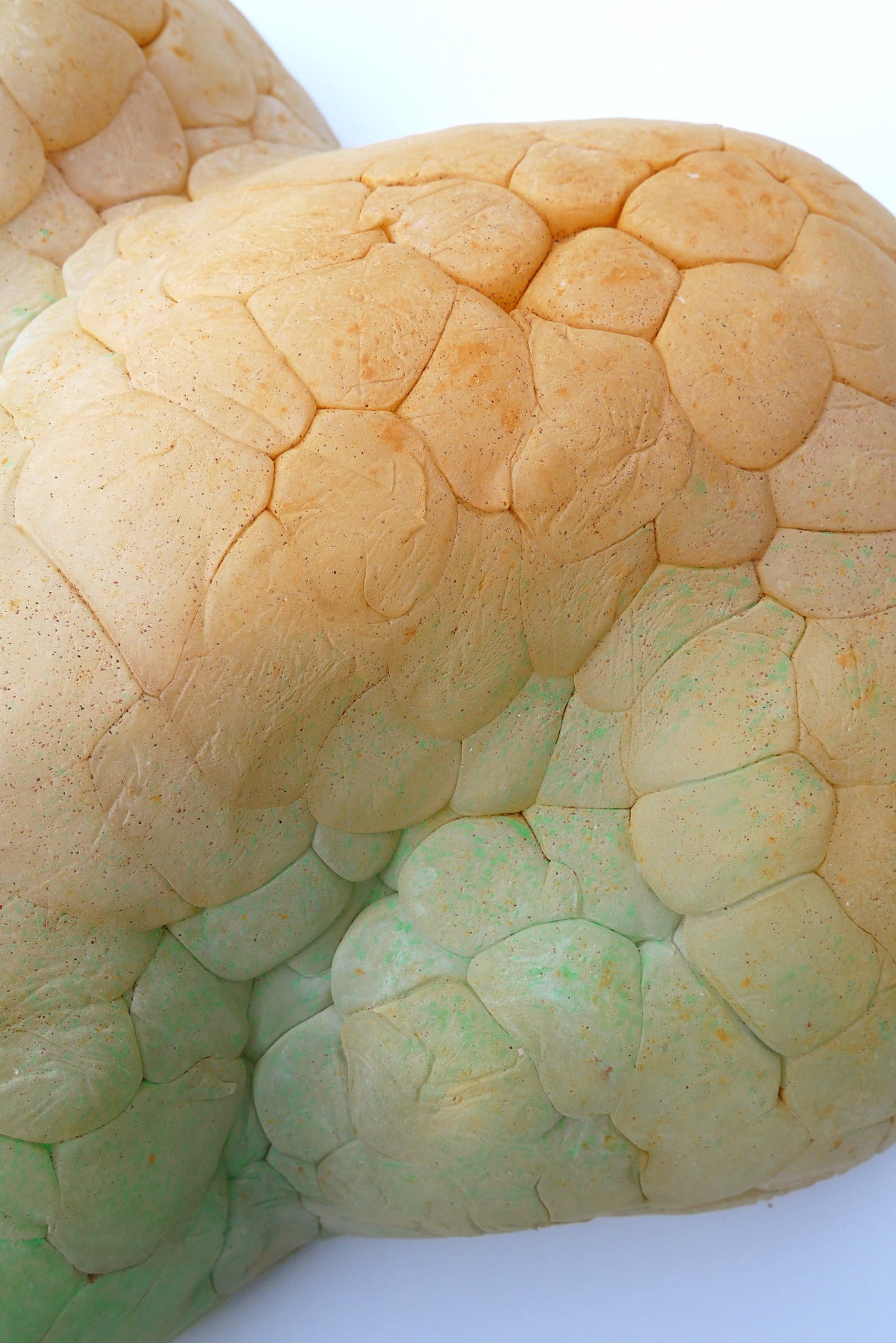 Orange-green Mammatus Wall Sculpture-Elissa Lacoste-APOC STORE