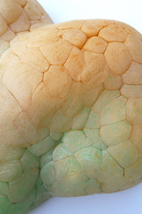Orange-green Mammatus Wall Sculpture-Elissa Lacoste-APOC STORE