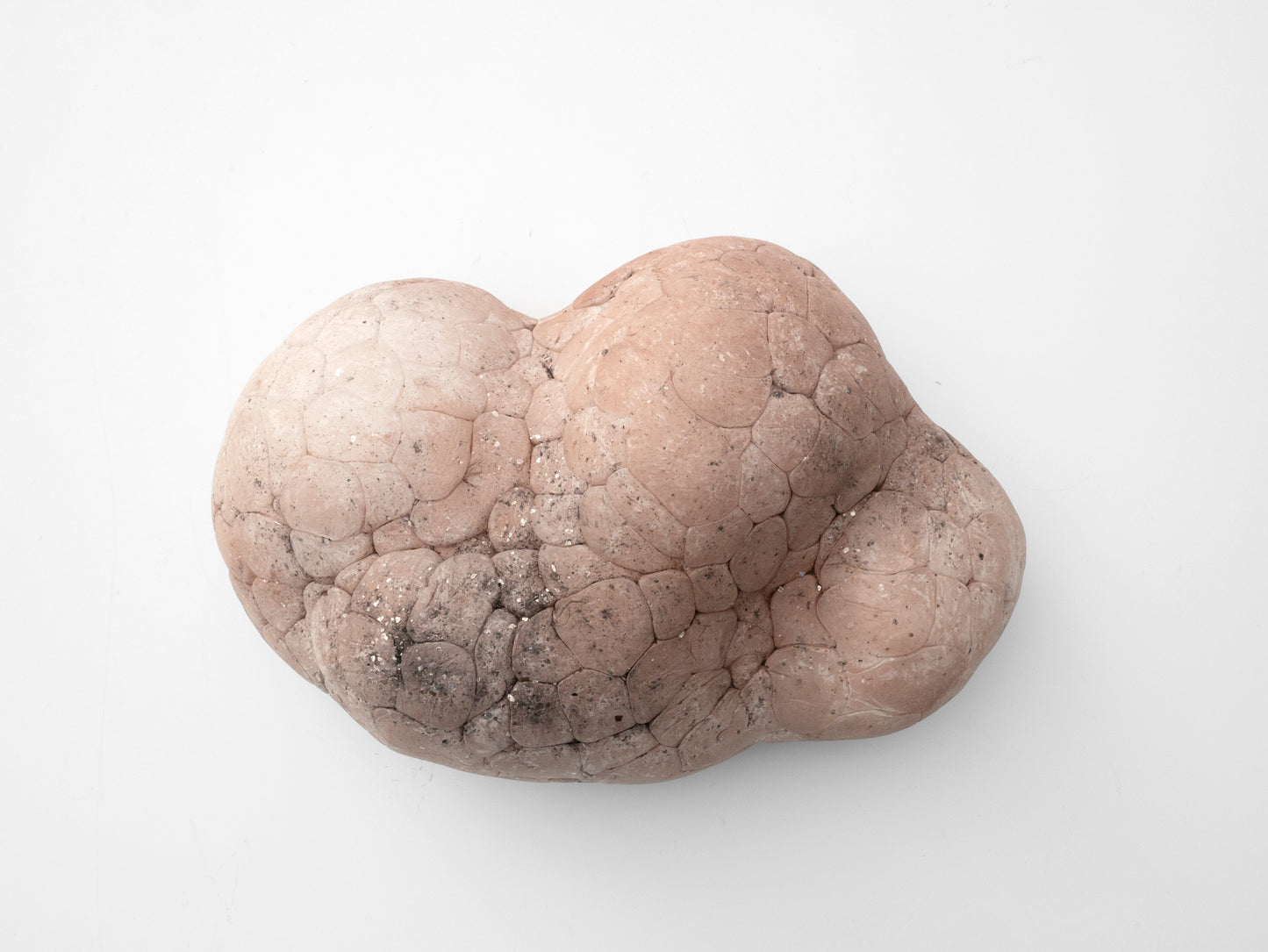 Parma Mammatus Wall Sculpture-Elissa Lacoste-APOC STORE
