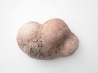 Parma Mammatus Wall Sculpture-Elissa Lacoste-APOC STORE