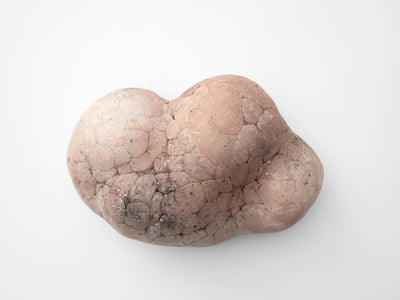 Parma Mammatus Wall Sculpture-Elissa Lacoste-APOC STORE